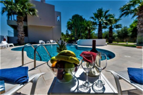 XENOS VILLA 2 with a private pool,near the sea
